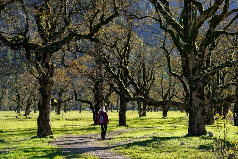 Woman hiking in nature