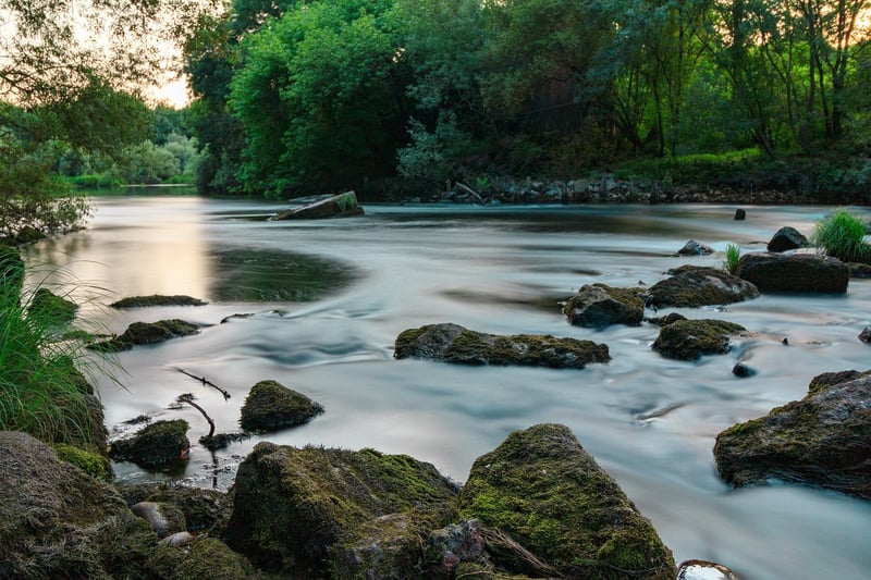 Mindful Movement in Nature